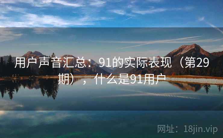 用户声音汇总：91的实际表现（第29期），什么是91用户