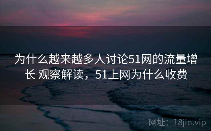为什么越来越多人讨论51网的流量增长 观察解读，51上网为什么收费