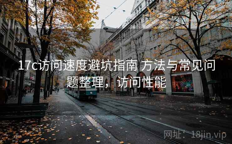 17c访问速度避坑指南 方法与常见问题整理，访问性能
