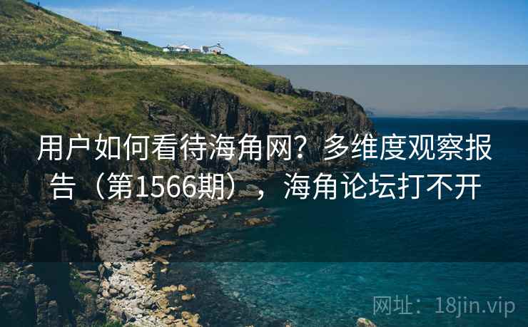 用户如何看待海角网？多维度观察报告（第1566期），海角论坛打不开