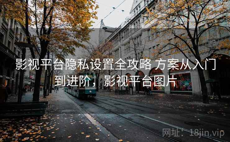 影视平台隐私设置全攻略 方案从入门到进阶，影视平台图片