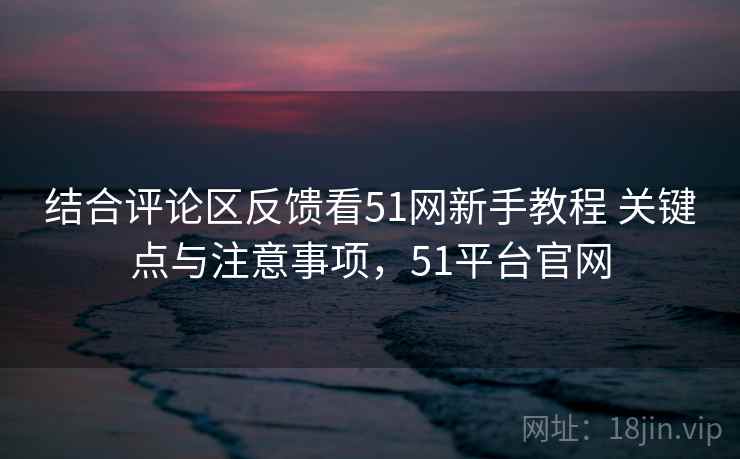 结合评论区反馈看51网新手教程 关键点与注意事项，51平台官网