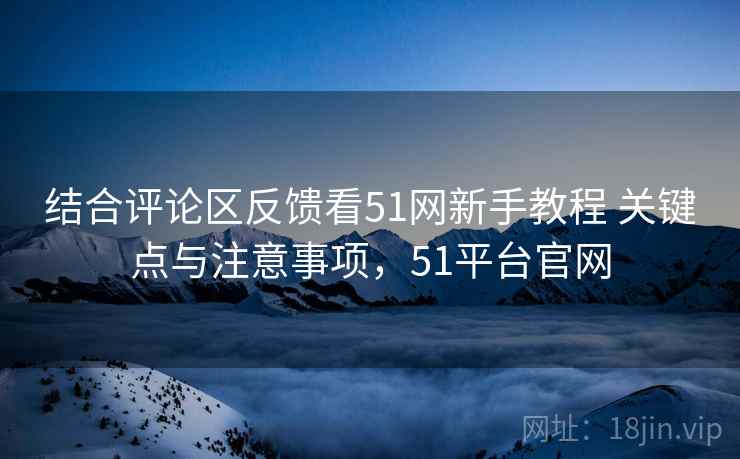 结合评论区反馈看51网新手教程 关键点与注意事项，51平台官网