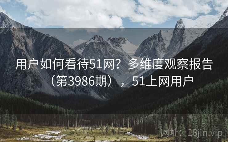 用户如何看待51网？多维度观察报告（第3986期），51上网用户