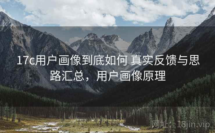 17c用户画像到底如何 真实反馈与思路汇总，用户画像原理
