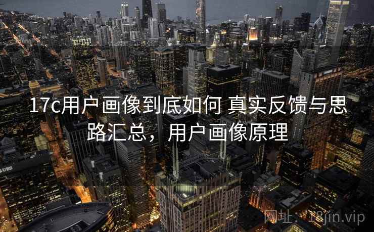 17c用户画像到底如何 真实反馈与思路汇总，用户画像原理