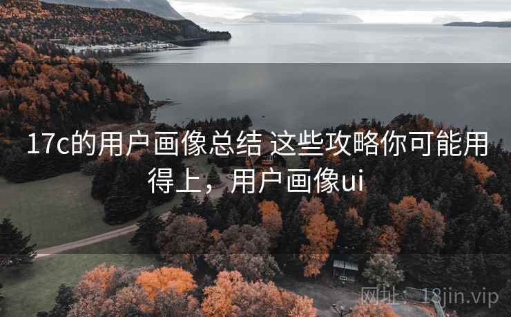 17c的用户画像总结 这些攻略你可能用得上，用户画像ui