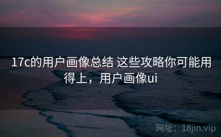 17c的用户画像总结 这些攻略你可能用得上，用户画像ui