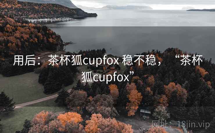 用后：茶杯狐cupfox 稳不稳，“茶杯狐cupfox”