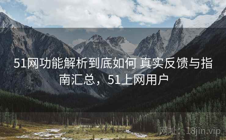 51网功能解析到底如何 真实反馈与指南汇总，51上网用户
