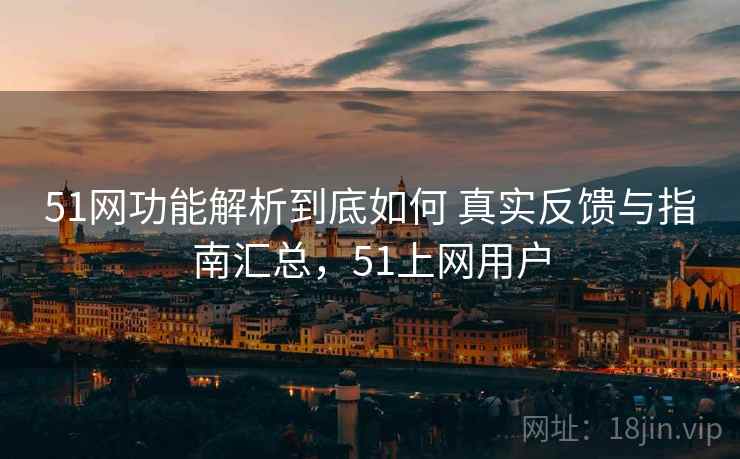 51网功能解析到底如何 真实反馈与指南汇总，51上网用户